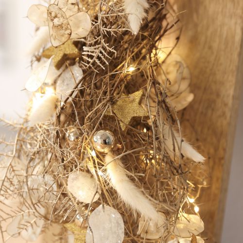 Fiori secchi Lagurus Natural – Erba di coda di coniglio soffice in bianco crema 55-70 cm 100 g | Floristik24.it