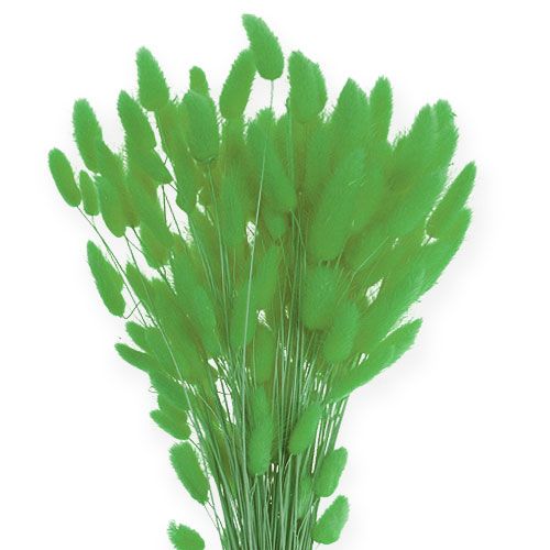 Prodotto Erba Decorativa Verde Mela Lagurus 100gr