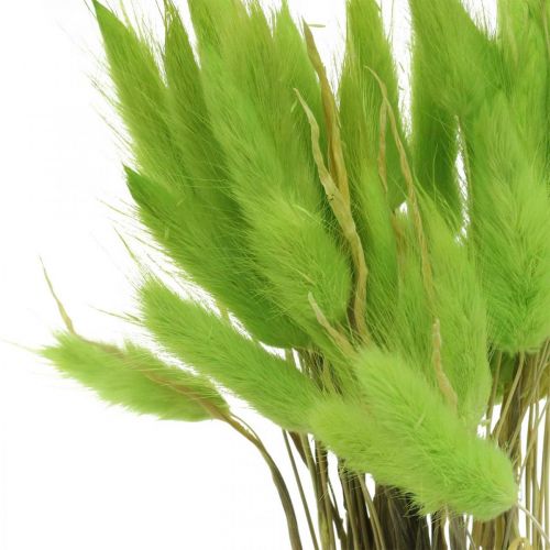 Prodotto Velluto verde erba, lagurus, decorazione secca, erba dolce essiccata L18-50cm 25g