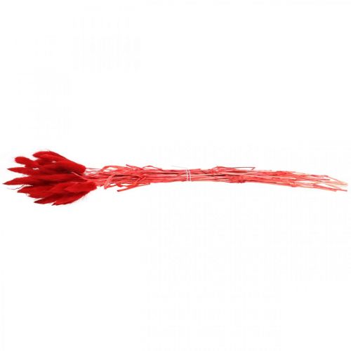 Prodotto Erba decorativa rossa, lagurus, erba vellutata, fiori secchi L30–50cm 20g