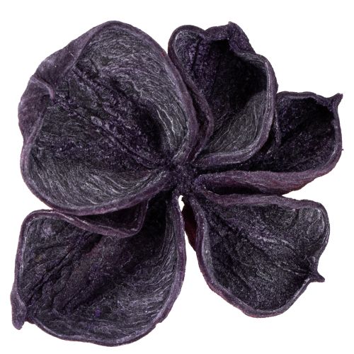 Prodotto Landlotus Mix Mora, Rosa Antico 50 pz