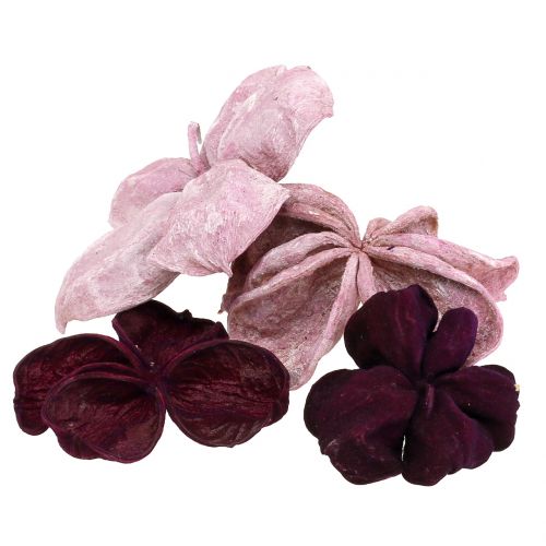 Prodotto Landlotus Mix Mora, Rosa Antico 50 pz