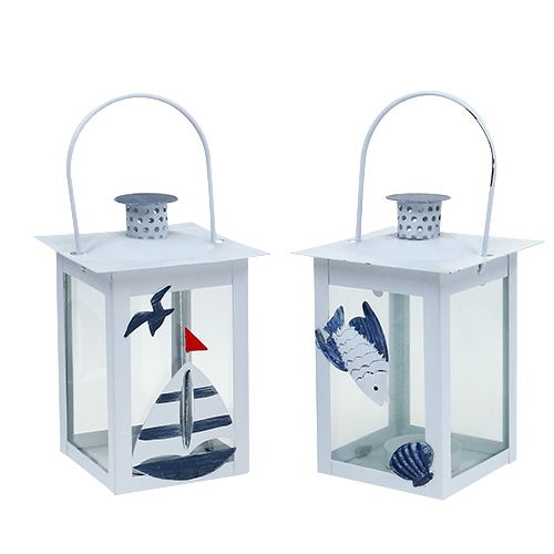 Floristik24 Set lanterna 10 cm x 10 cm H22 cm bianco-blu 2 pezzi
