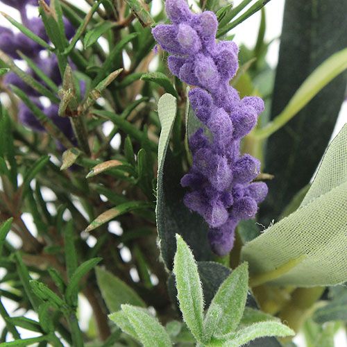 Floristik24 Mazzo di rosmarino alla lavanda 20 cm