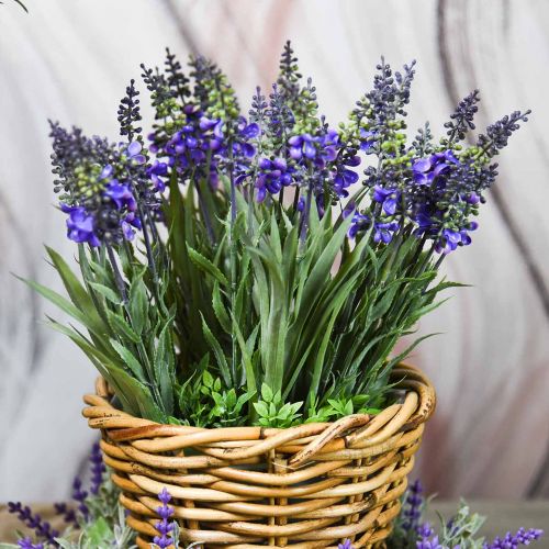 Floristik24 Mazzo di lavanda artificiale con erbe 32cm