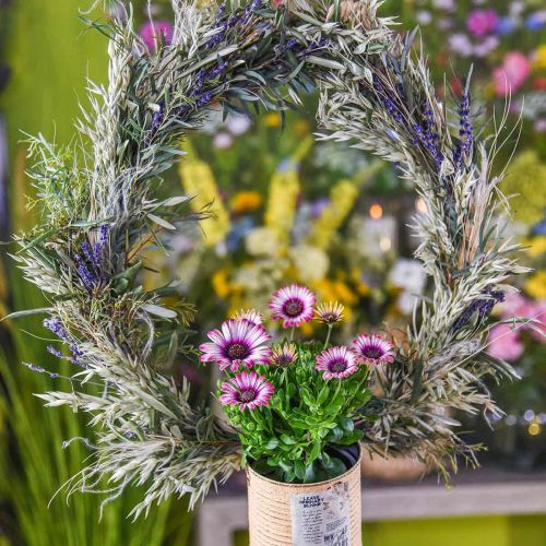 Prodotto Mazzo di lavanda essiccata fiori secchi blu 25 cm 75 g