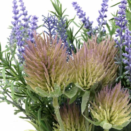 Floristik24 Fagotto di erbe aromatiche lavanda, rosmarino, cardo 40 cm