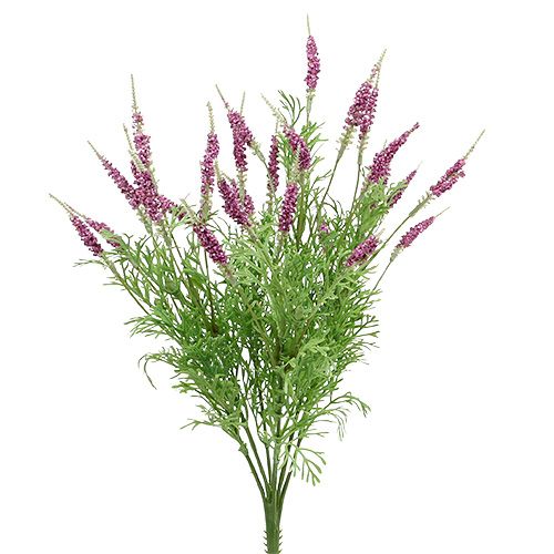 Floristik24 Cespuglio di lavanda viola 43 cm