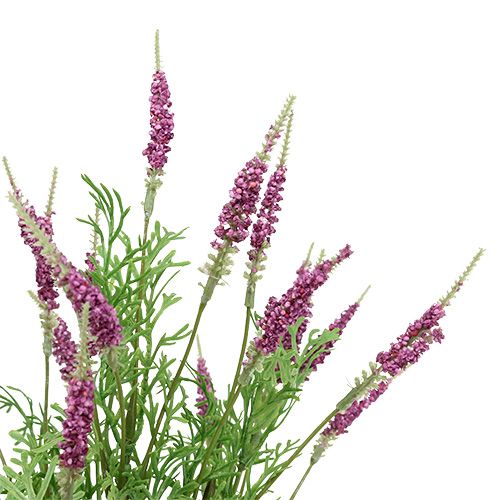 Floristik24 Cespuglio di lavanda viola 43 cm