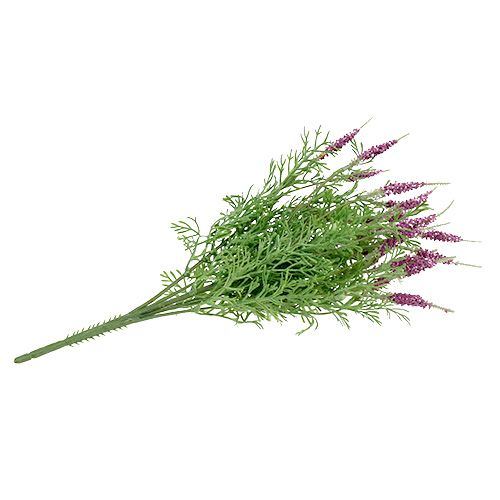 Floristik24 Cespuglio di lavanda viola 43 cm