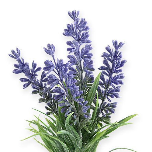 Floristik24 Lavanda viola artificiale 25cm