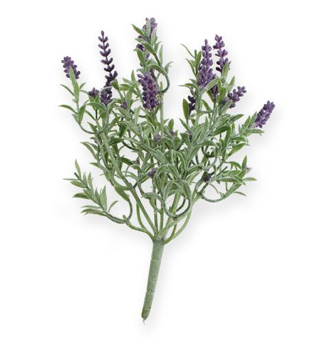 Floristik24 Cespuglio di lavanda decorativo 25 cm