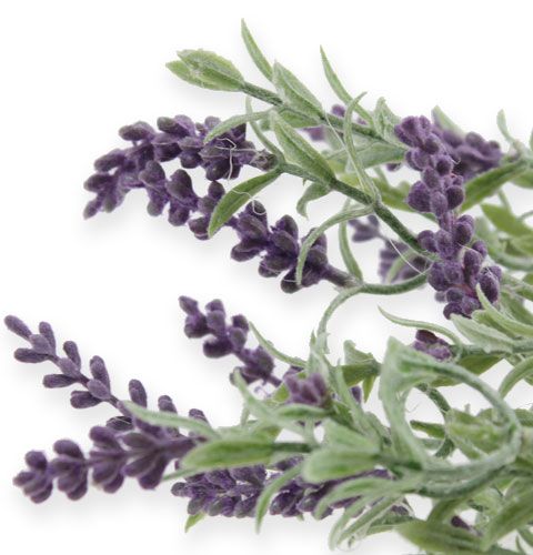 Floristik24 Cespuglio di lavanda decorativo 25 cm