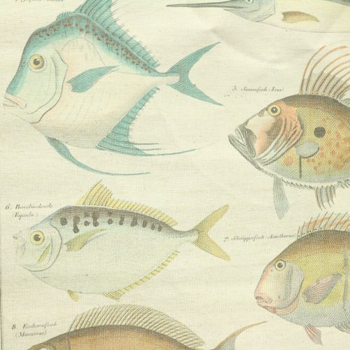 Floristik24 Rotolo decorativo in lino con pesce 60 cm x 72 cm