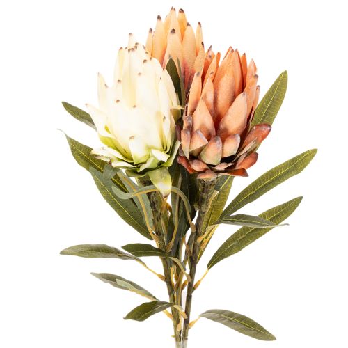 Fiore artificiale di Protea Leucadendron con stelo lungo, 65 cm, 3 pezzi acquistare | Floristik24.it