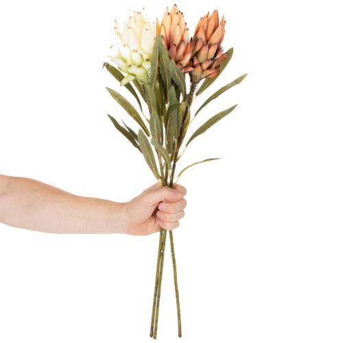 Fiore artificiale di Protea Leucadendron con stelo lungo, 65 cm, 3 pezzi | Floristik24.it