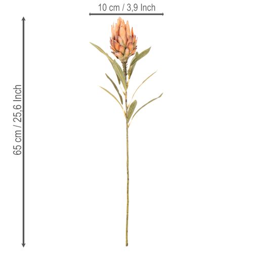 Fiore artificiale di Protea Leucadendron con stelo lungo, 65 cm, 3 pezzi | Floristik24.it