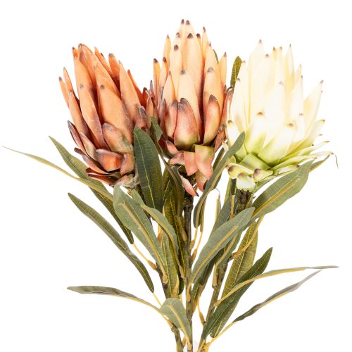 Fiore artificiale di Protea Leucadendron con stelo lungo, 65 cm, 3 pezzi | Floristik24.it