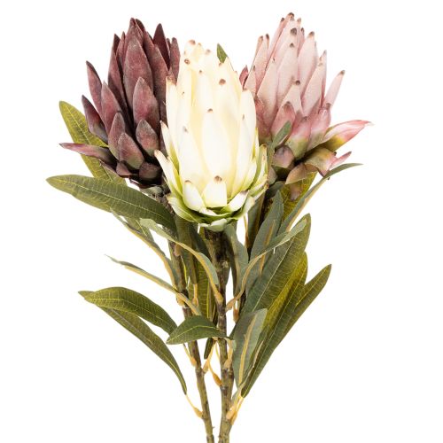 Protea, fiore artificiale Leucadendron, 100 cm, 3 pezzi acquistare | Floristik24.it