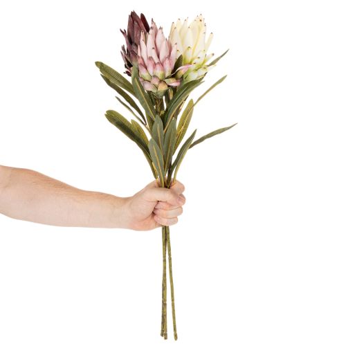 Protea, fiore artificiale Leucadendron, 100 cm, 3 pezzi | Floristik24.it