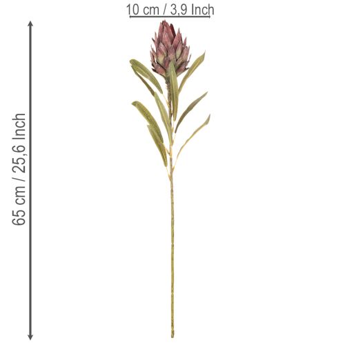Protea, fiore artificiale Leucadendron, 100 cm, 3 pezzi | Floristik24.it