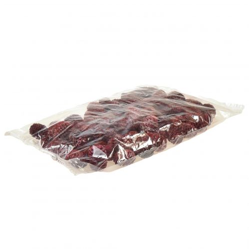 Prodotto Coni di Leucadendron Sabulosum in rosso satinato 500g