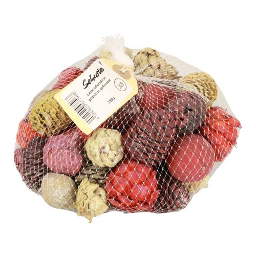 Prodotto Coni di Leucadendron Bellgum Verde Rosso Giallo Glassato 300g