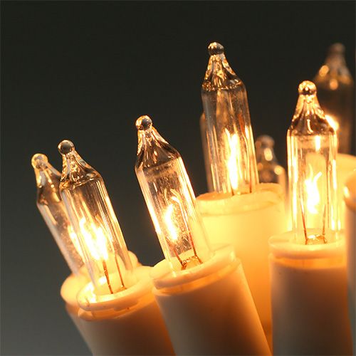 Floristik24 Luci da fata mini 20s 3m per interno bianco / trasparente