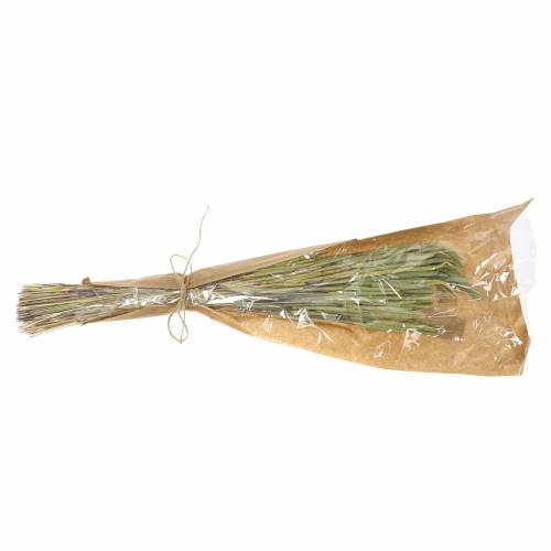 Floristik24 Timothy grass natura 50-60cm 100g