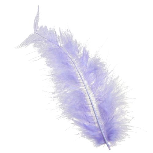 Prodotto Piume viola Soffici forniture artigianali Primavera 5-10 cm 20 g