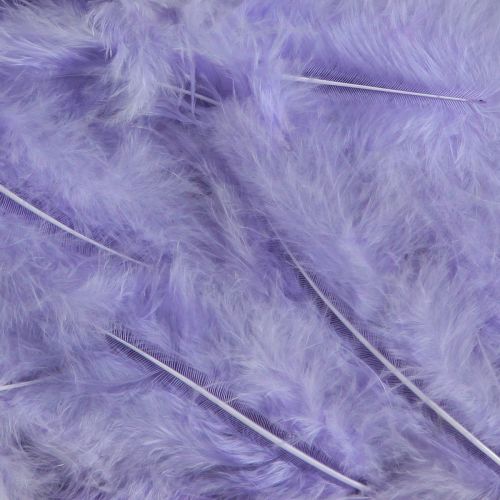 Prodotto Piume viola Soffici forniture artigianali Primavera 5-10 cm 20 g