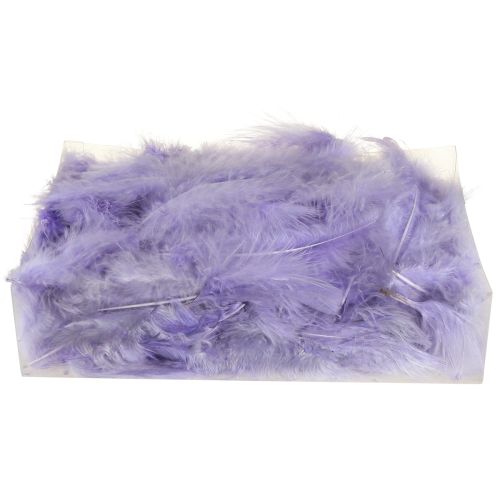 Prodotto Piume viola Soffici forniture artigianali Primavera 5-10 cm 20 g