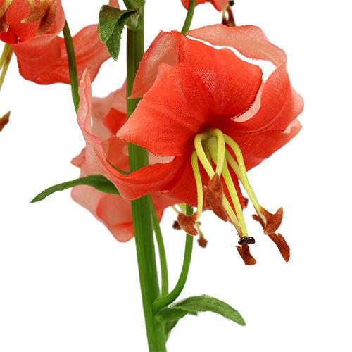Floristik24 Salmone Lily 87,5 cm