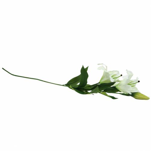 Prodotto Giglio pasquale bianco 86 cm