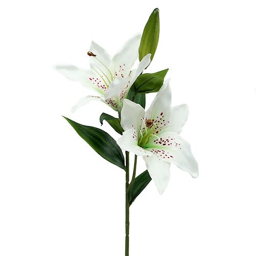 Giglio bianco 66 cm