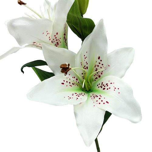 Floristik24 Giglio bianco 66 cm