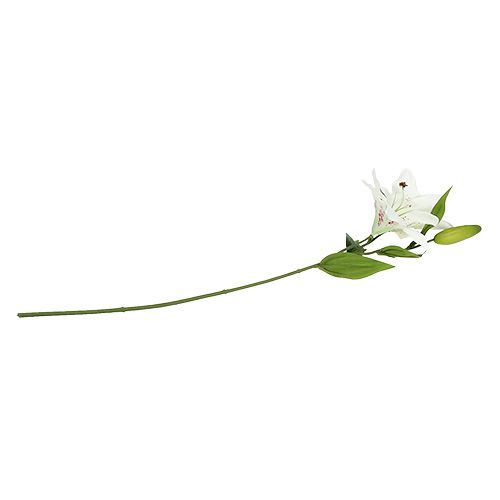 Floristik24 Giglio bianco 66 cm