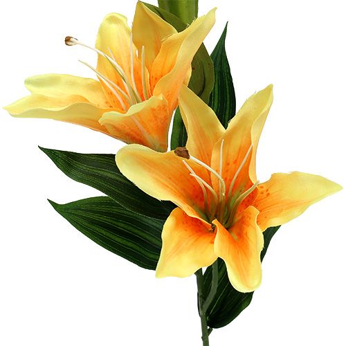 Floristik24 Lily Artificial Orange L66cm 1pz