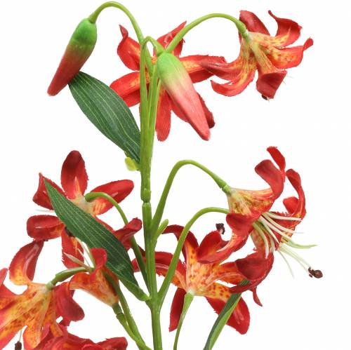 Floristik24 Lily Orange 82cm