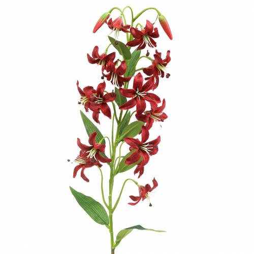 Floristik24 Giglio rosso 82 cm