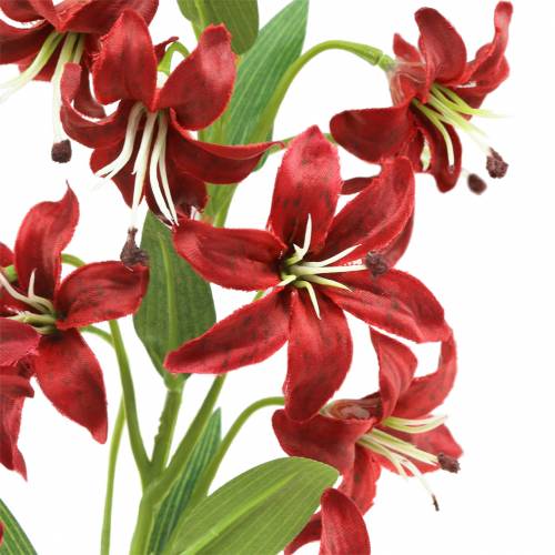 Floristik24 Giglio rosso 82 cm