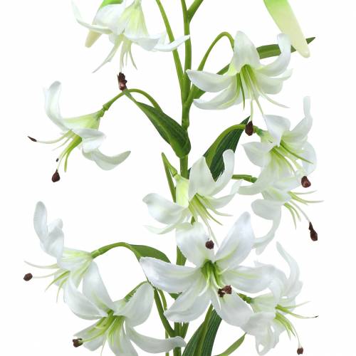 Floristik24 Lily White 82cm