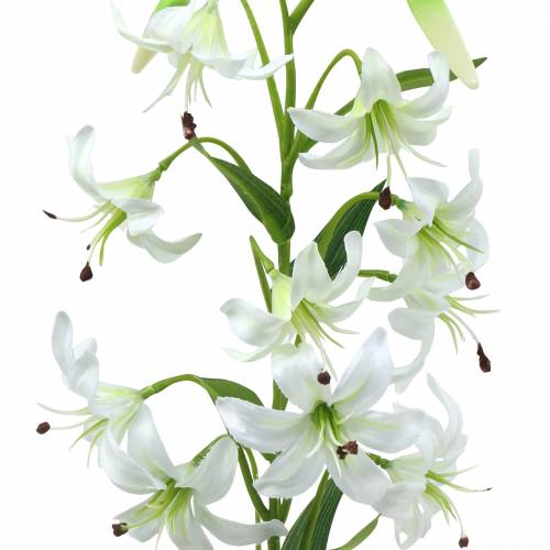 Prodotto Lily White 82cm