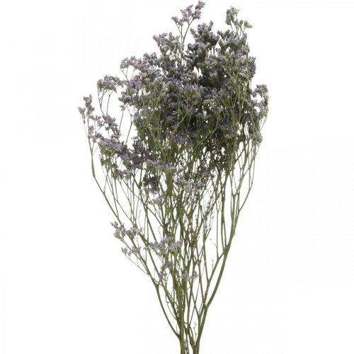 Floristik24 Fiori Secchi, Lavanda Marina, Statice Tatarica, Lavanda Marina, Limonium Violet L45–50cm 30g