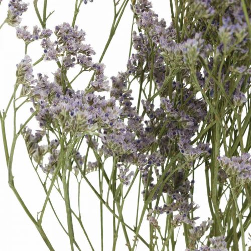 Floristik24 Fiori Secchi, Lavanda Marina, Statice Tatarica, Lavanda Marina, Limonium Violet L45–50cm 30g