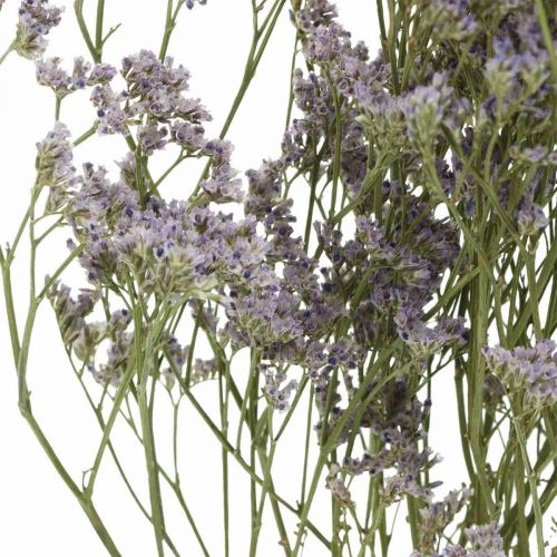 Prodotto Fiori Secchi, Lavanda Marina, Statice Tatarica, Lavanda Marina, Limonium Violet L45–50cm 30g