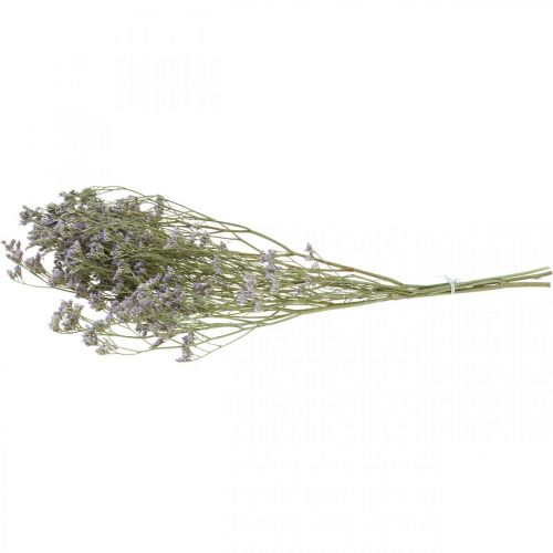 Floristik24 Fiori Secchi, Lavanda Marina, Statice Tatarica, Lavanda Marina, Limonium Violet L45–50cm 30g