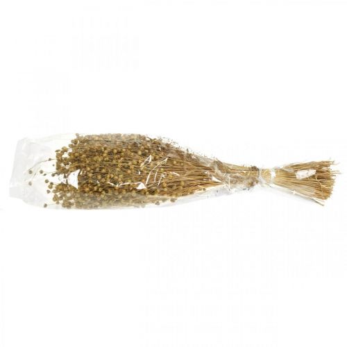 Prodotto Lino naturale, erbe per fiori secchi, Linum prodotto naturale 160g