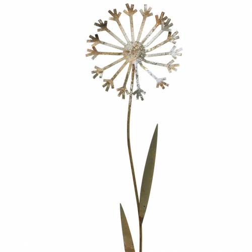 Floristik24 Spina da giardino dente di leone metallo arrugginito Ø10 H49cm
