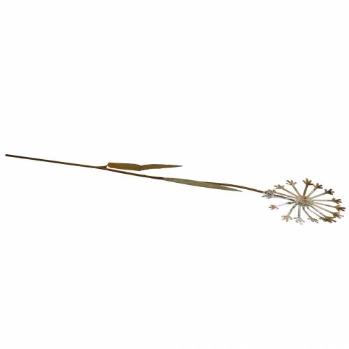 Floristik24 Spina da giardino dente di leone metallo arrugginito Ø10 H49cm